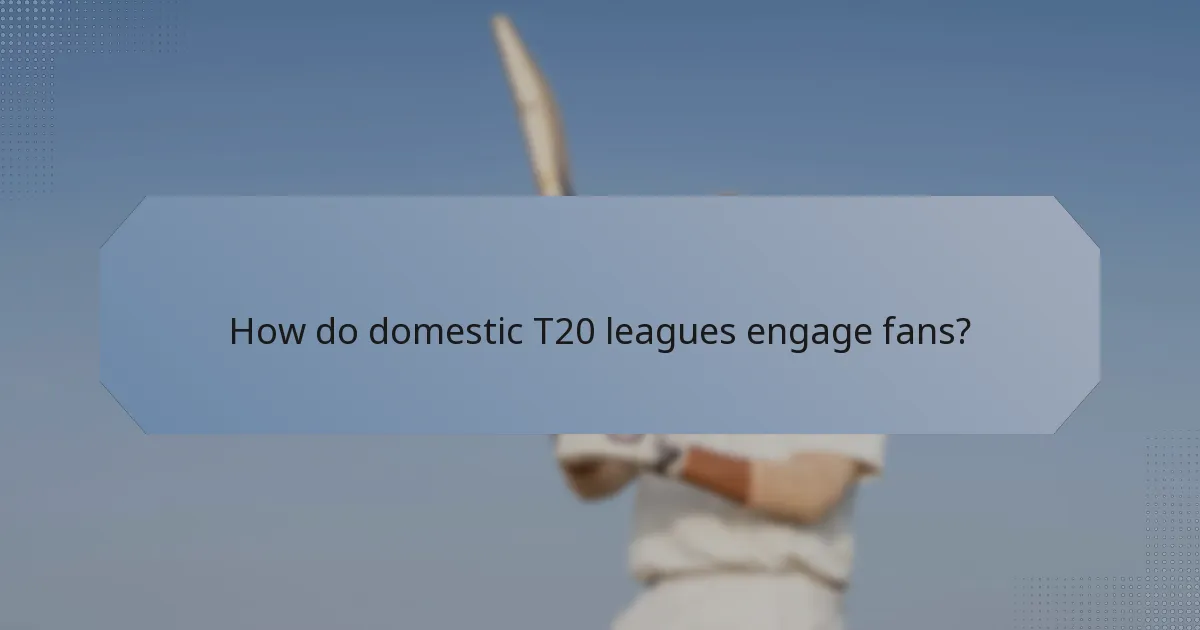 How do domestic T20 leagues engage fans?