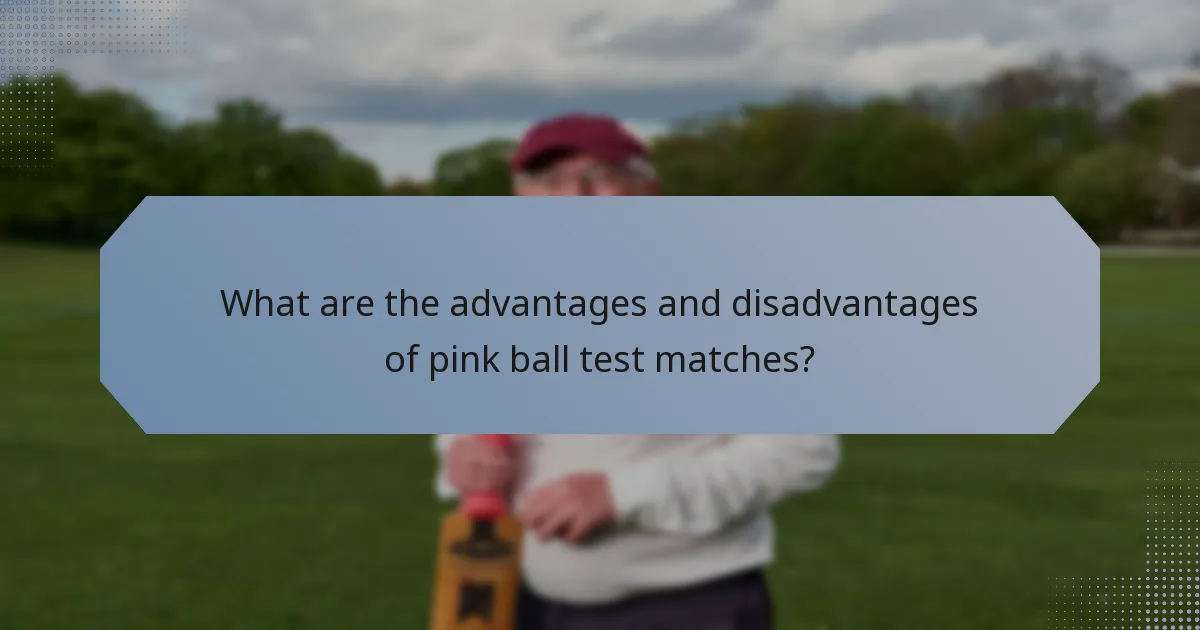 What are the advantages and disadvantages of pink ball test matches?